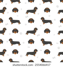 Dachshund wire haired dog seamless pattern. Different coat colors set.  Vector illustration