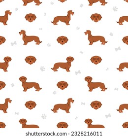 Dachshund wire haired seamless pattern. Different poses, coat colors set.  Vector illustration