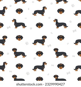 Dachshund wire haired seamless pattern. Different poses, coat colors set.  Vector illustration