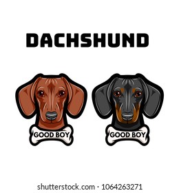 Dachshunds Dog. Bone. Good boy inscription. Dog breed Vector illustration