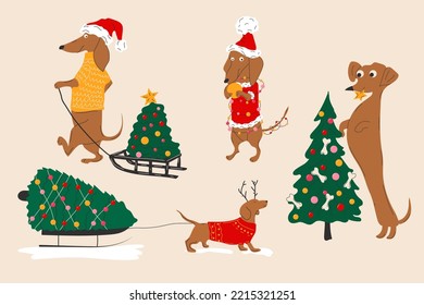 Dachshunds dogs pulls a Christmas tree on a sleigh and decorate Christmas trees. Vector illustration