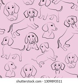 dachsund cute animals fashion seamless vector pattern 