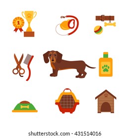 Dachsund dog infografic concept with dog care isolated elements.