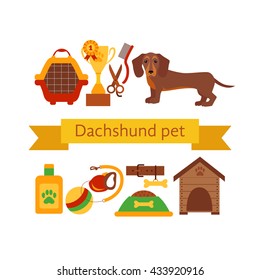 Dachsund dog infografic concept with dog care isolated elements.