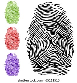 Dactyloscopy. A print of a human finger