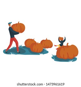 Dad and daughter collect pumpkins. Harvesting pumpkins. Girl sitting on a big pumpkin. autumn harvest. man carries a pumpkin