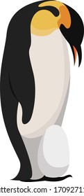 Dad penguin with egg, illustration, vector on white background