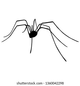 Daddy Long Legs Spider Clipart