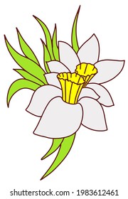 Daffodil boutonniere a small bouquet of white flowers. Doodle style line hand drawn . Vector illustration