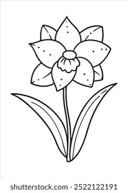 Daffodil coloring page on white background