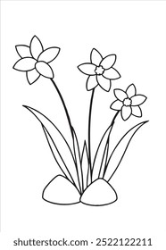 Daffodil coloring page on white background