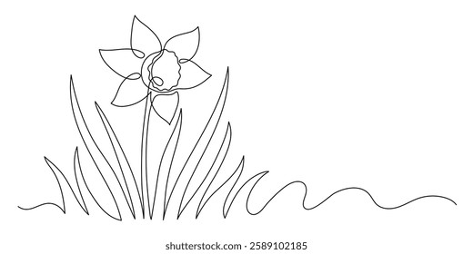 Daffodil. Continuous line drawing. Frame border.