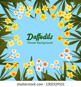 Daffodil flower background on square 1:1, Narcissus floral decoration for greeting card, Social media spring time template for promotion sale, Flower frame realism