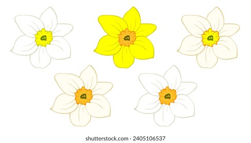 Daffodil flower bud, narcissus blooming head isolated on white. Hand drawn sketch of yellow and orange colors. Vector picture for Easter illustration, spring or summer colorful floral design, print.