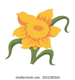 Flower Clip Art Daffodil Images Stock Photos Vectors Shutterstock