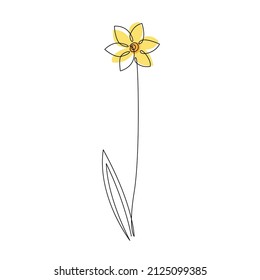 Daffodil flower in continuous line drawing style. Black line sketch with yellow color on white background. Vector illustration