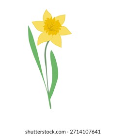 Ilustração de vetor plano de flor de daffodil