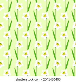 Daffodil flower floral seamless pattern on green background