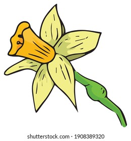Icono de la flor de Daffodil. Ilustración vectorial del daffodil de primavera en Holiday. 