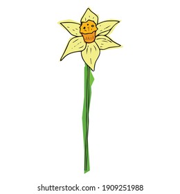 Icono de la flor de Daffodil. Ilustración vectorial del daffodil de primavera en Holiday. 