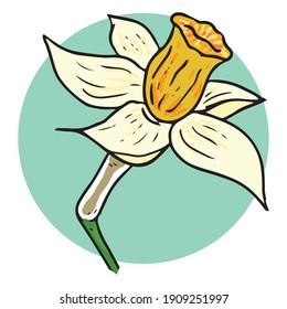 Daffodil flower icon. Vector illustration of spring daffodil on Holiday. 