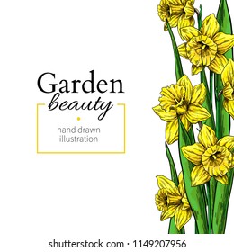 Daffodil flower and leaves border drawing. Vector hand drawn floral frame. Botanical  sketch. Great for tattoo, invitations, greeting cards, decor, wedding invitation, greeting cards.