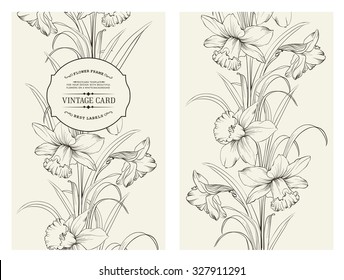 Daffodil flower or narcissus isolated on gray. Floral pattern with narcissus. Vector illustration.