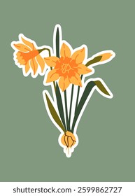 Daffodil flower. Narcissus. Vector illustration for logo, sticker, decor