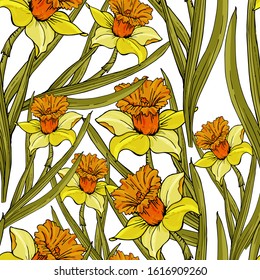Daffodil flower seamless pattern. Realistic detailed botanical drawings. Vector illustration
For cards, tags, textiles, wallpaper, gift wrapping paper, kraft paper, scrapbooking.