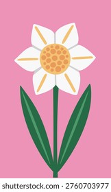 Daffodil flower with six petal, round center, and long leaf on a clean backdrop