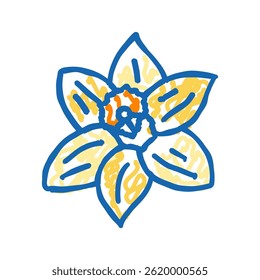 daffodil flower spring doodle icon sketch vector. daffodil flower spring sign. isolated symbol illustration