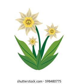 daffodil flower spring image vector illustration eps 10