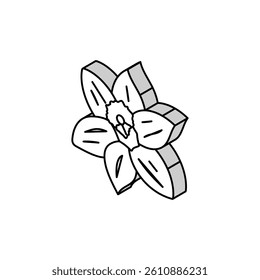 daffodil flower spring isometric icon vector. daffodil flower spring sign. isolated symbol illustration