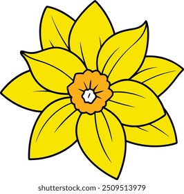 Vector de flores de narciso - diseño floral brillante