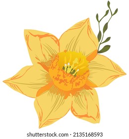 Daffodil flower vector design art