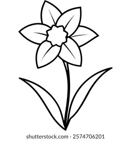 Daffodil flower vector on white background