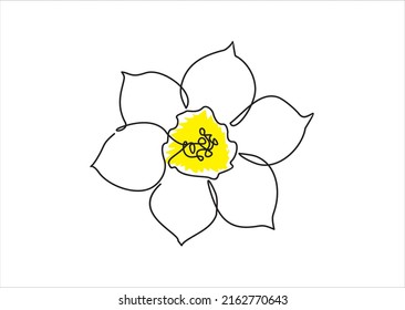 Daffodil flower in yellow color continuous line drawing. Blossoming Narcissus in spring isolated on white background. Garden flower with minimalist design in hand drawn style. Vector illustration