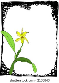 daffodil flowers background