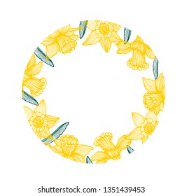 daffodil flowers, background vector illustration hand drawing