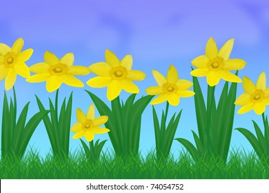 Daffodil flowers with blue sky as background