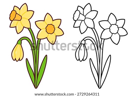 Daffodil flowers bouquet, cute simple springtime drawing. Black and while line art and color image. Cartoon vector illustration.