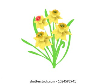 Daffodil Flowers - Cartoon Vector Image