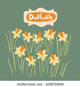 Daffodil flowers and leaves in flat style. Vector hand drawn floral object set. Botanical stock isolated illustration on green with text - Daffodils. Great for invitations, greeting cards, decor