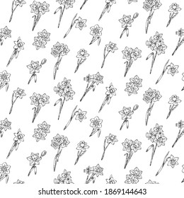Las flores de Daffodil se caracterizan perfectamente. Estilo de dibujo dibujado a mano con doodle gráfico. Ilustración botánica para embalaje, tarjetas de menú, carteles, impresiones.	