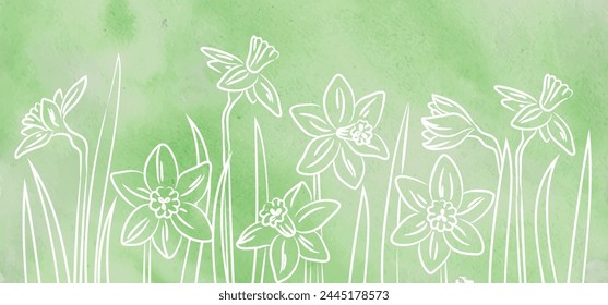 Daffodil  hand drawn on blue  background. Watercolor poster. Transparent card of plant. Spring meadow. Vector sketch of flowers.