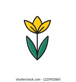 daffodil icon vector. flower icon filled outline style