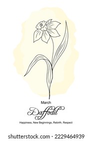 Daffodil March birth month flower print. Botanical floral line art drawing with Daffodil  flower meaning. Hand drawn monochrome black ink outline vector illustration on watercolor yellow background.