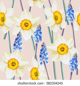 Daffodil and muscari vector seamless background