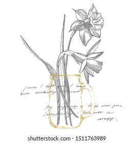Daffodil or Narcissus flower drawings. Collection of hand drawn black and white daffodil. Hand Drawn Botanical Illustrations. Handwritten abstract text