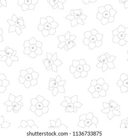 Daffodil - Narcissus Flower Outline on White Background. Vector Illustration.